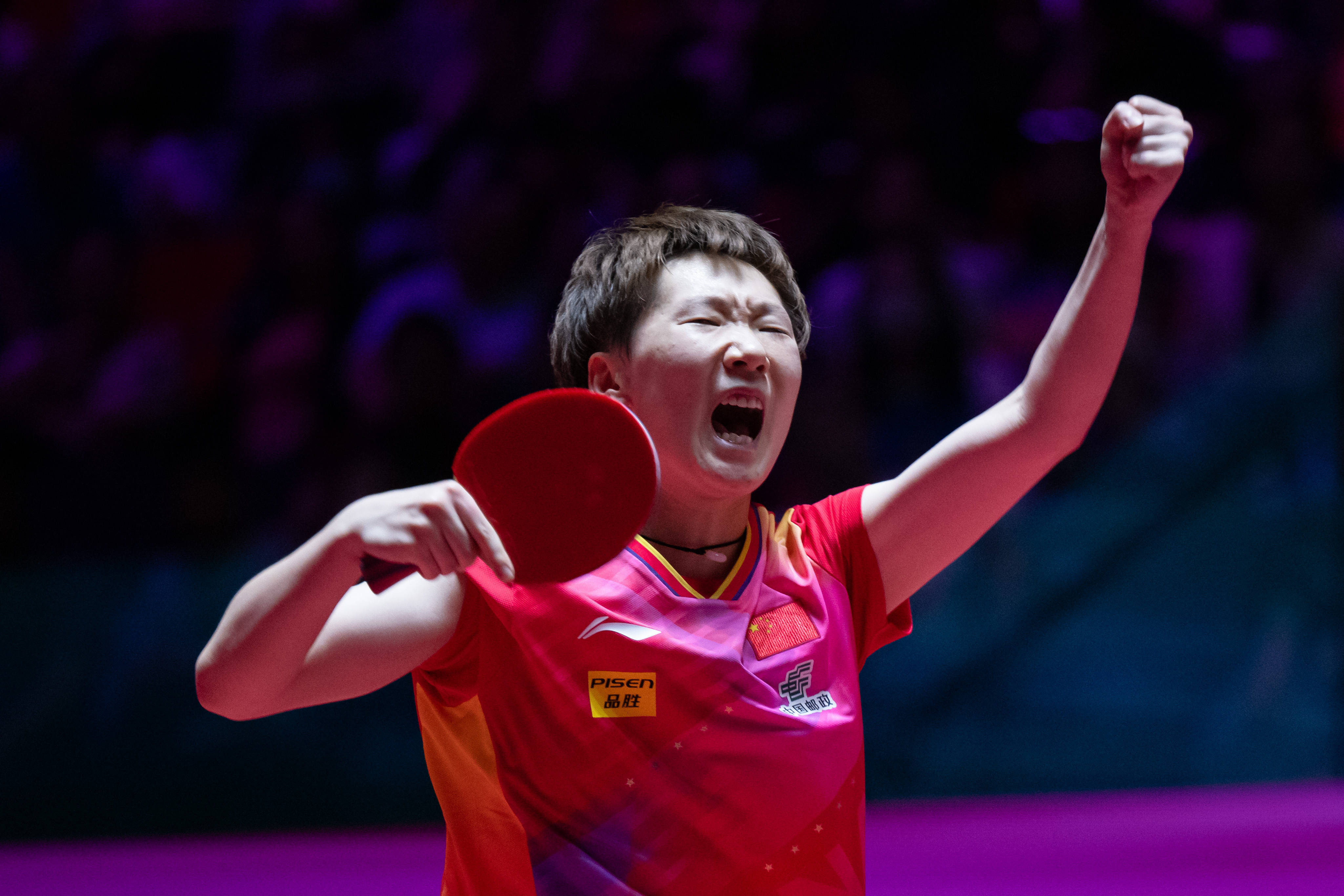 未来之星的 未来之星的